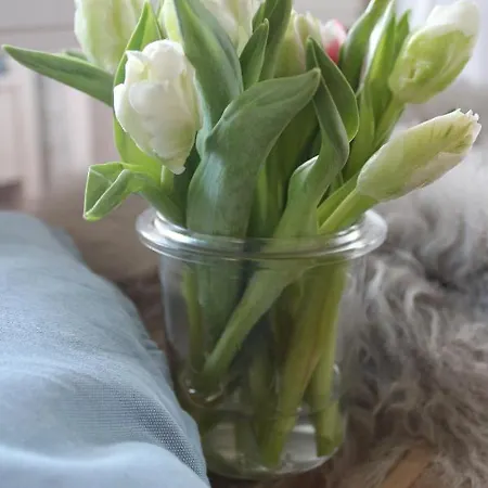 Kleine Landliebe 아파트 호바흐트